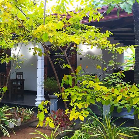 Yashi'S Place シギリヤ エクステリア 写真