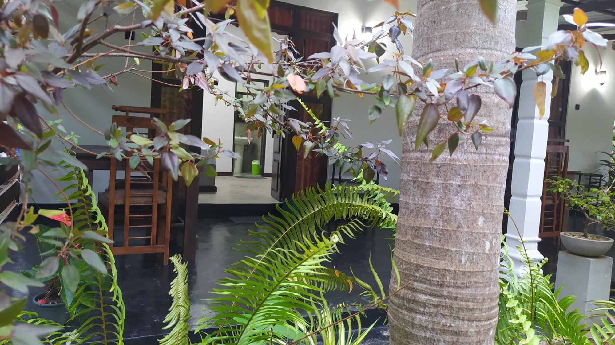 Yashi'S Place シギリヤ エクステリア 写真